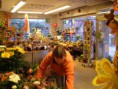 /album/fotogalerie-uber-uns1/a10-03-2011-014-jpg/